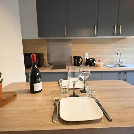 Le Bellevue - Cozy 1-bedroom - Train Station And Town Center Within Walking Distance * Dijon
