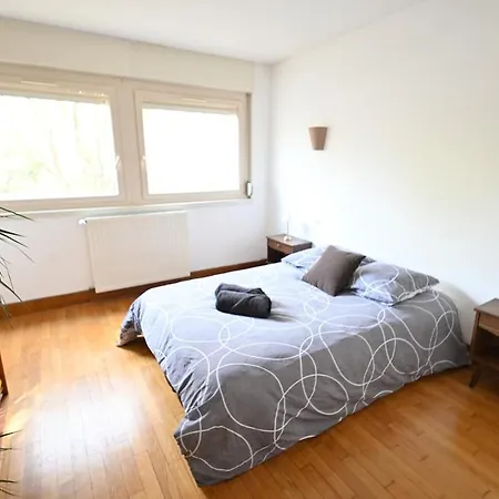 Le Bellevue - Cozy 1-bedroom - Train Station And Town Center Within Walking Distance * Dijon